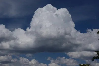 DSC_3202 (Large).JPG